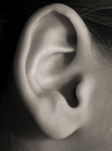 ear