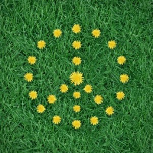 peace-symbol-flowers