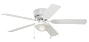 Single Light Ceiling Fan